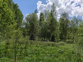 Parduodamas 1,7063 ha sklypas Vilniaus rajone - nuotraukos Nr. 14