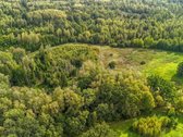 2ha sklypas, šalia miško (žaliamiškio), geras - nuotraukos Nr. 4
