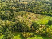 2ha sklypas, šalia miško (žaliamiškio), geras - nuotraukos Nr. 6