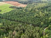 2ha sklypas, šalia miško (žaliamiškio), geras - nuotraukos Nr. 7