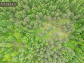 Parduodamas 8,12 A Žemės Ūkio Paskirties - nuotraukos Nr. 7