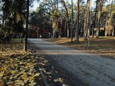 Parduodama Dalis Namo Pušų Apsuptyje - nuotraukos Nr. 7