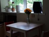 Nuo rugpjūčio mėnesio nuomojamas erdvus (19 - nuotraukos Nr. 4
