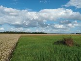 Parduodami namų valdos sklypai Trakų sav., - nuotraukos Nr. 5