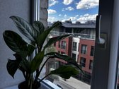 Parduodamas jaukus ir funkcionaliai įrengtas - nuotraukos Nr. 18