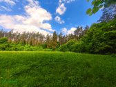 Parduodamas 71 arų žemės ūkio sklypas vienoje - nuotraukos Nr. 2