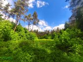 Parduodamas 71 arų žemės ūkio sklypas vienoje - nuotraukos Nr. 4