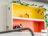  – Nt ekspertai be procentų - nuotraukos Nr. 26