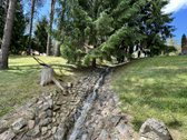 Ukmergės Rajone, Želvos Sen., Prie Makio - nuotraukos Nr. 8