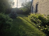 Svarbiausi faktai : - nuotraukos Nr. 2