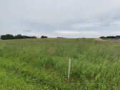 12a. Nv netoli Tarzanijos. 2,5 km iki Alytaus. - nuotraukos Nr. 3
