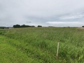 12a. Nv netoli Tarzanijos. 2,5 km iki Alytaus. - nuotraukos Nr. 4