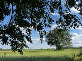 Parduodama jauki sodyba su ūkio paskirties - nuotraukos Nr. 15