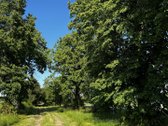 Parduodama jauki sodyba su ūkio paskirties - nuotraukos Nr. 17
