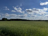 Parduodama jauki sodyba su ūkio paskirties - nuotraukos Nr. 18