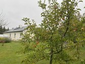 Vieno Aukšto Gyvenamasis Namas Su Kieme - nuotraukos Nr. 4