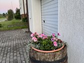 Vieno Aukšto Gyvenamasis Namas Su Kieme - nuotraukos Nr. 10