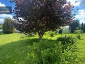 Parduodamas jaukus, prižiūrėtas ir puoselėtas - nuotraukos Nr. 7