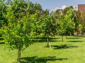 Parduodamas sklypas 9.06 arų vienoje - nuotraukos Nr. 11