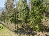 Parduodamas 3 Kambarių Butas Apsuptas Miško, - nuotraukos Nr. 7