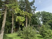 Parduodamas A++ vieno aukšto 141 kv.m. - nuotraukos Nr. 7