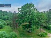 Nemenčinės miškų pušynų pašonėje, vos 3 - nuotraukos Nr. 7