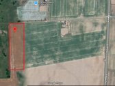 Parduodamas 1,28 ha sklypas Naujasėdžių k. - nuotraukos Nr. 2