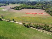 Šalia "Dubysos" upės parduodamas 3,22 ha