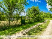 Parduodamas 12 Arų Sklypas Su Nuosavu - nuotraukos Nr. 5