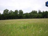 Kalnėnai – kaimas Jonavos rajono - nuotraukos Nr. 2