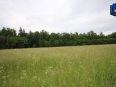 Kalnėnai – kaimas Jonavos rajono - nuotraukos Nr. 3