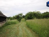 Kalnėnai – kaimas Jonavos rajono - nuotraukos Nr. 4