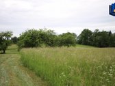 Kalnėnai – kaimas Jonavos rajono - nuotraukos Nr. 5