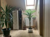 Parduodami Marijampoles miesto ribose du - nuotraukos Nr. 15