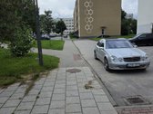Patrauklus Pasiūlymas Varėnoje Ieškantiems - nuotraukos Nr. 15
