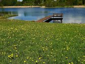 Parduodamas Sklypas Molėtų Rajone Prie - nuotraukos Nr. 2