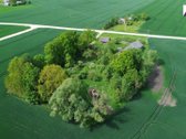 Sodyba su dideliu 0,92 ha sklypu Pasvalio r. - nuotraukos Nr. 2