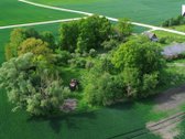 Sodyba su dideliu 0,92 ha sklypu Pasvalio r. - nuotraukos Nr. 3
