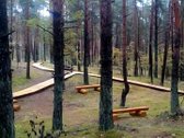 Parduodamas miškas (pušynas) 5,00 ha, - nuotraukos Nr. 2