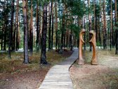 Parduodamas miškas (pušynas) 5,00 ha, - nuotraukos Nr. 5