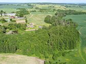 Unikalus Miško Sklypas Su Nuosavu Pratekančiu - nuotraukos Nr. 9
