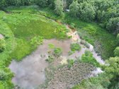 Unikalus Miško Sklypas Su Nuosavu Pratekančiu - nuotraukos Nr. 15