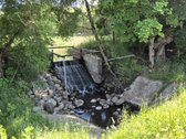 Unikalus Miško Sklypas Su Nuosavu Pratekančiu