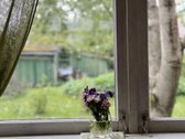Parduodamas jaukus sodo sklypas Kauno rajone, - nuotraukos Nr. 12