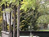 Parduodamas jaukus sodo sklypas Kauno rajone, - nuotraukos Nr. 5