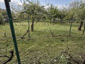 Parduodamas jaukus sodo sklypas Kauno rajone, - nuotraukos Nr. 18