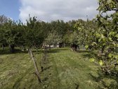 Parduodamas jaukus sodo sklypas Kauno rajone, - nuotraukos Nr. 25
