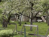 Parduodamas jaukus sodo sklypas Kauno rajone, - nuotraukos Nr. 16