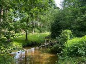 Sodo Namas Su Sklypu Prie Miško - nuotraukos Nr. 10