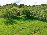 Parduodami 3 Sklypai Vienoje Vietoje – Apie - nuotraukos Nr. 8